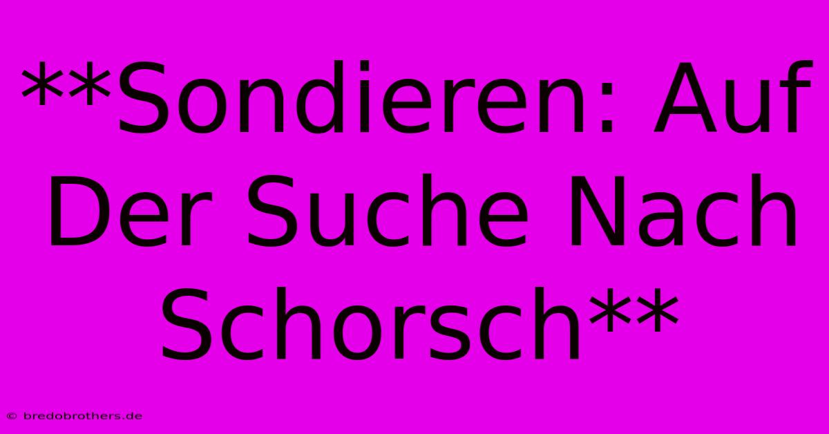 **Sondieren: Auf Der Suche Nach Schorsch**