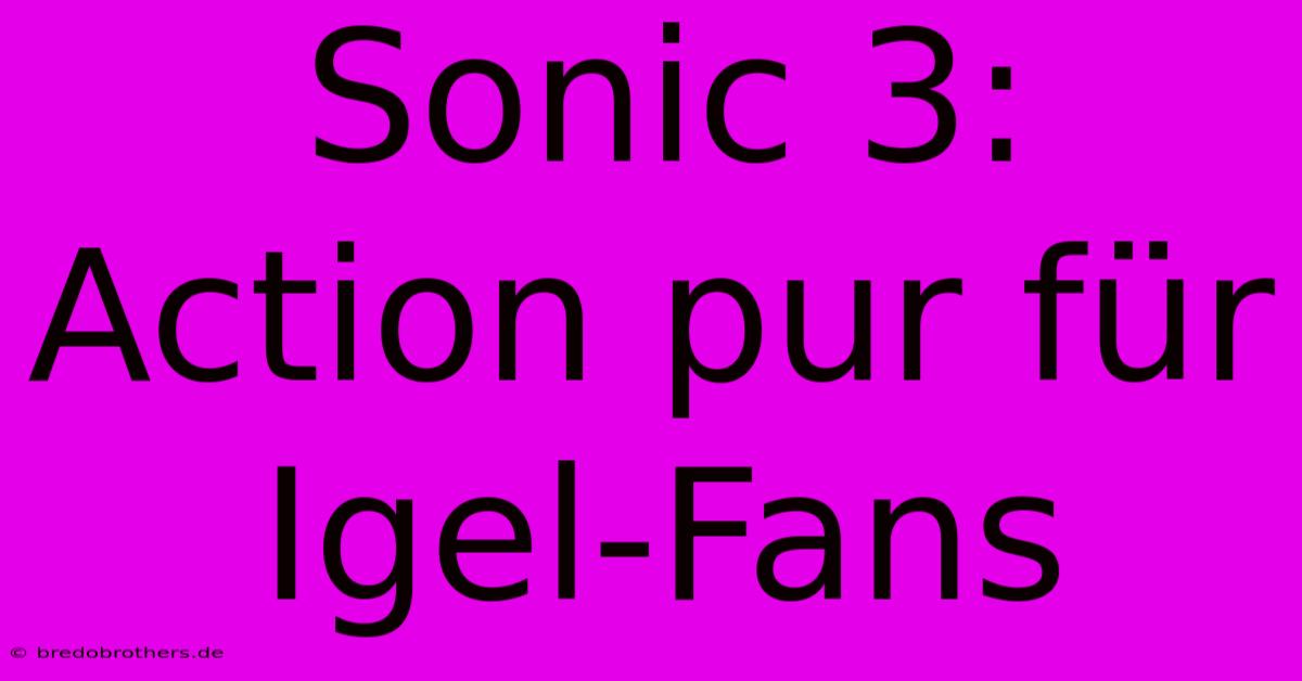 Sonic 3:  Action Pur Für Igel-Fans