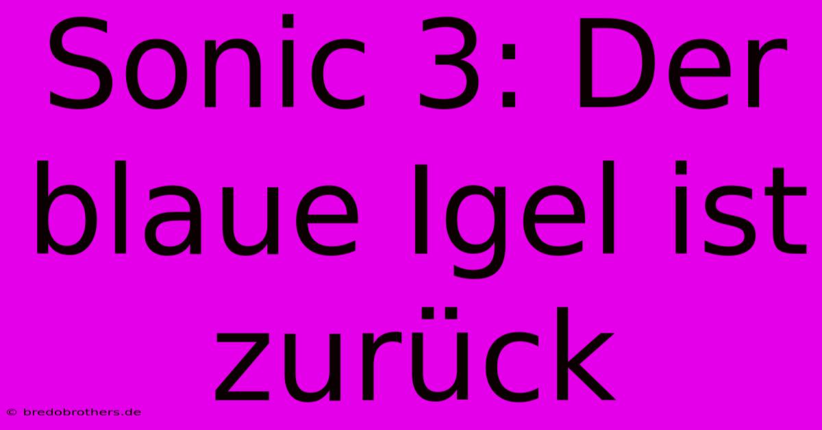 Sonic 3: Der Blaue Igel Ist Zurück