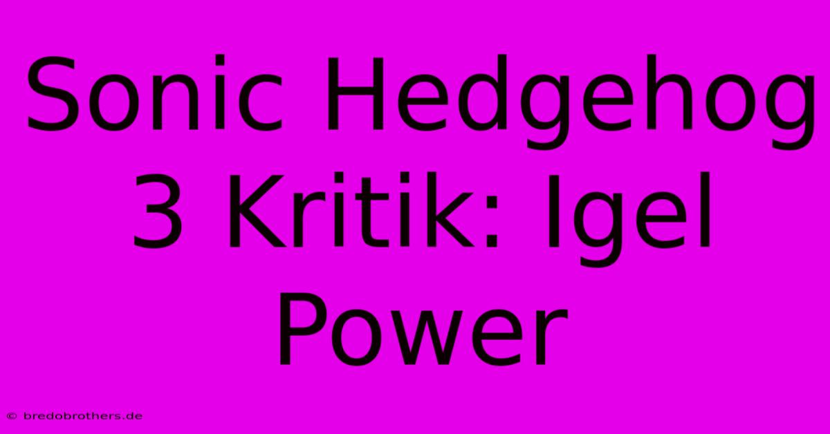 Sonic Hedgehog 3 Kritik: Igel Power