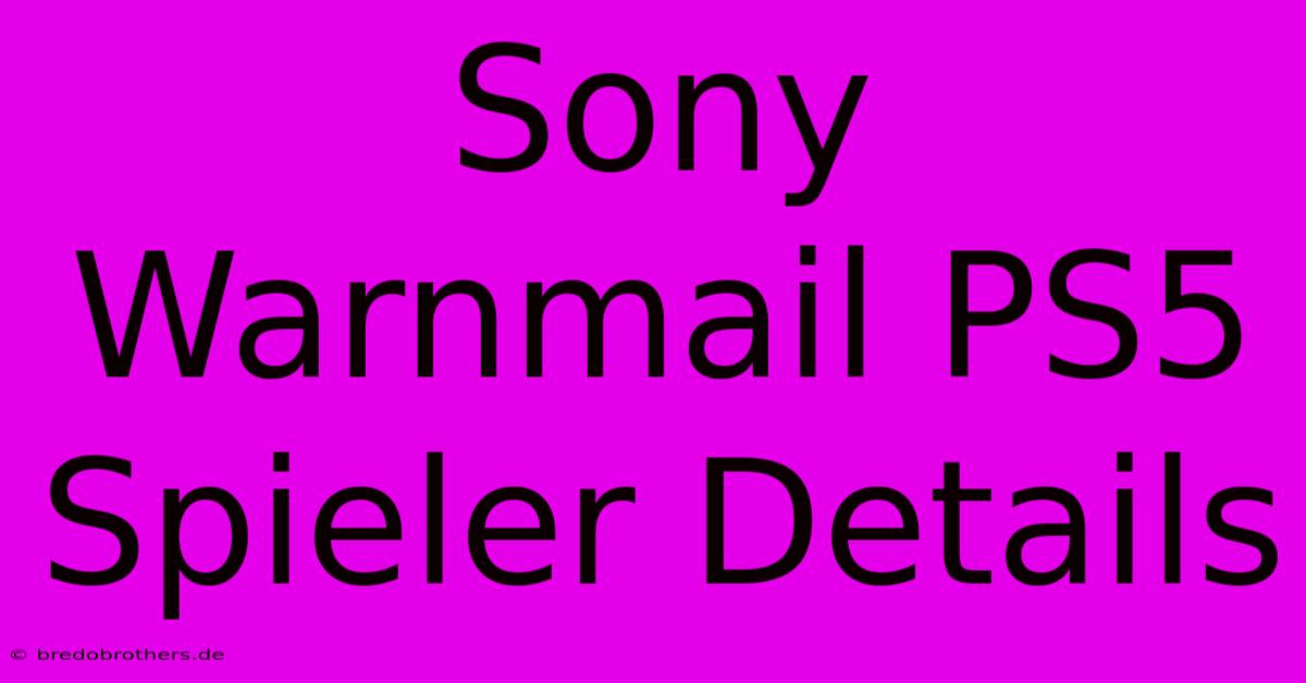 Sony Warnmail PS5 Spieler Details