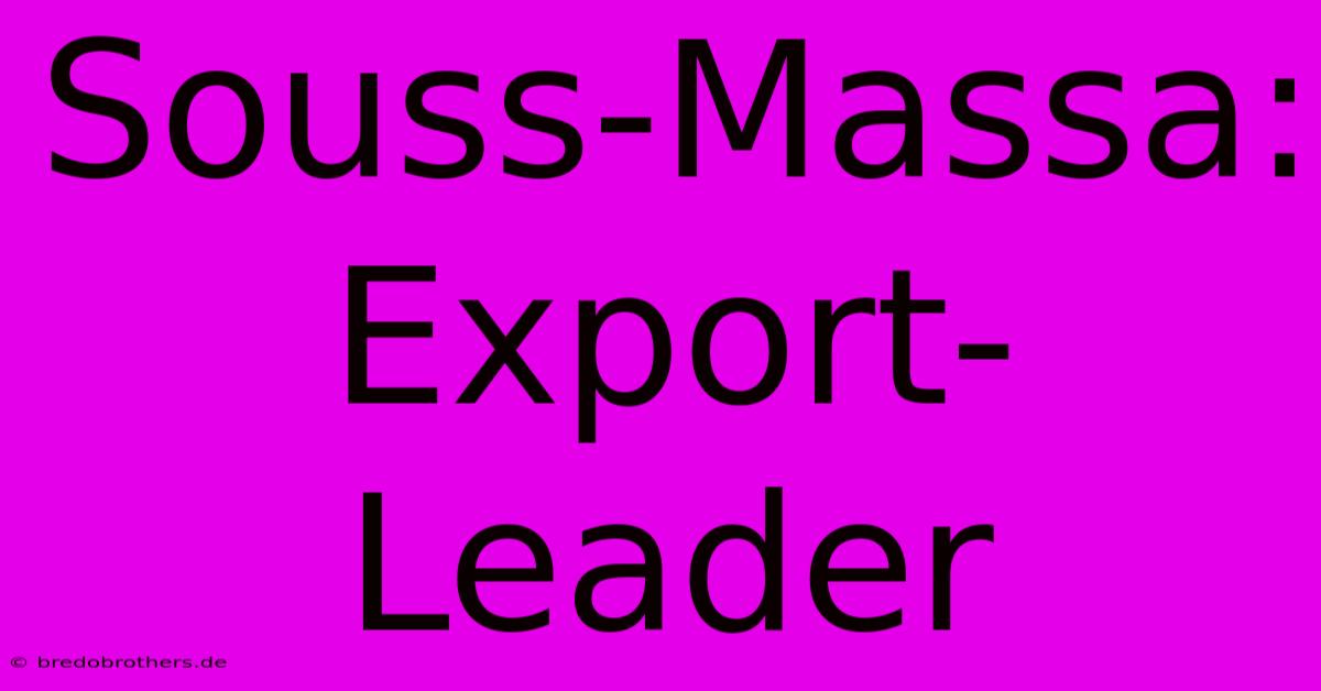 Souss-Massa: Export-Leader