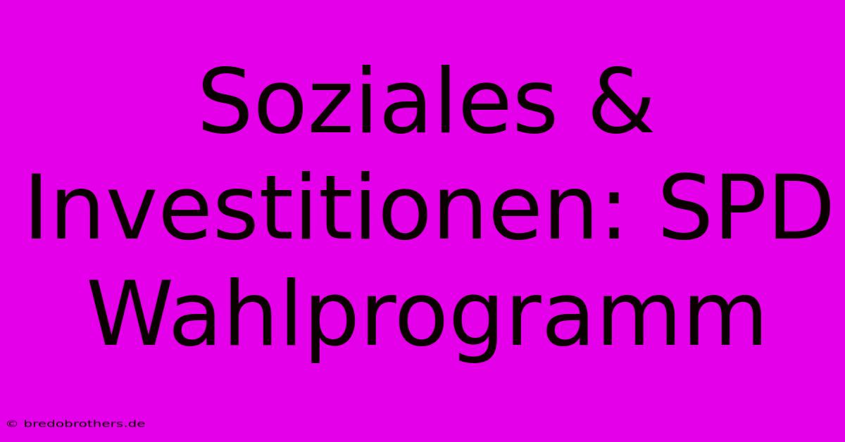 Soziales & Investitionen: SPD Wahlprogramm