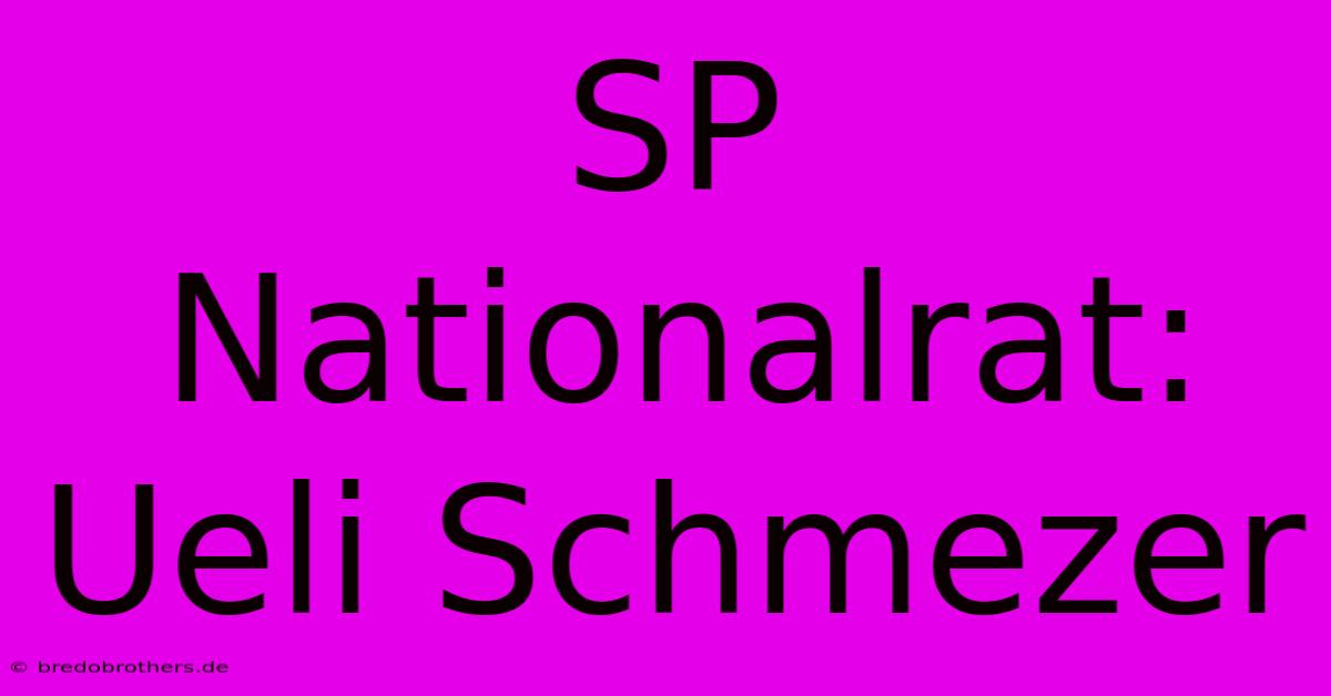 SP Nationalrat: Ueli Schmezer