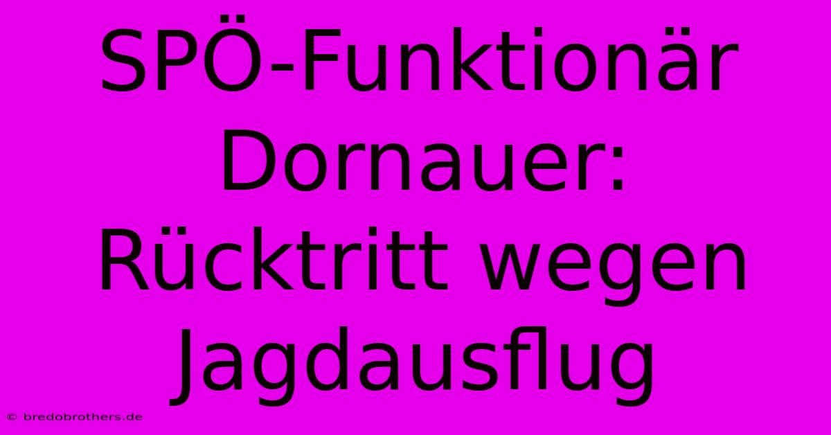 SPÖ-Funktionär Dornauer: Rücktritt Wegen Jagdausflug