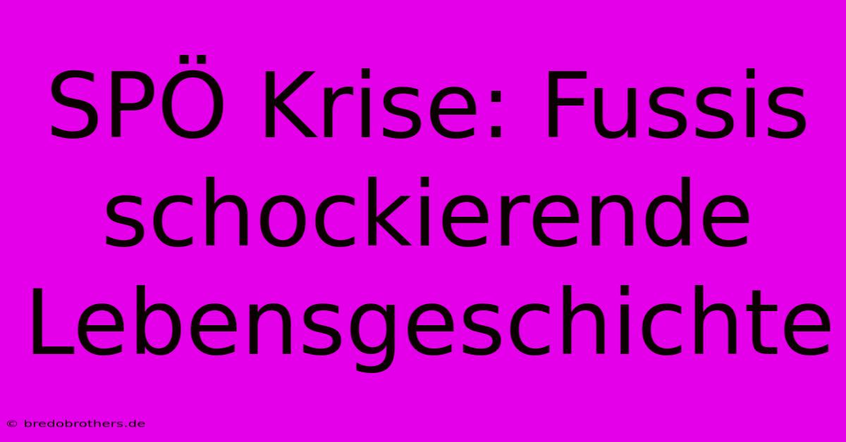 SPÖ Krise: Fussis Schockierende Lebensgeschichte