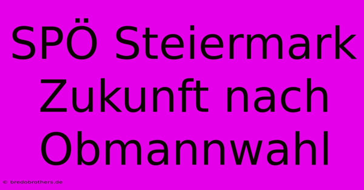 SPÖ Steiermark Zukunft Nach Obmannwahl