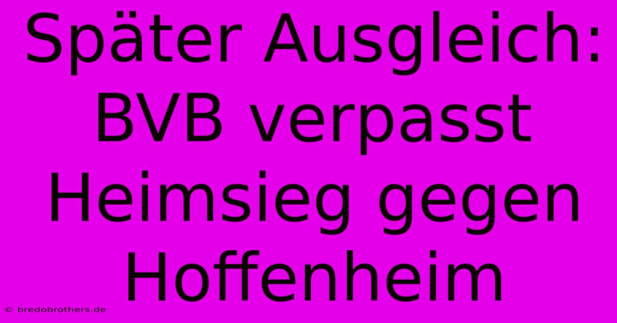 Später Ausgleich: BVB Verpasst Heimsieg Gegen Hoffenheim