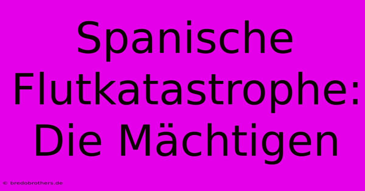 Spanische Flutkatastrophe: Die Mächtigen