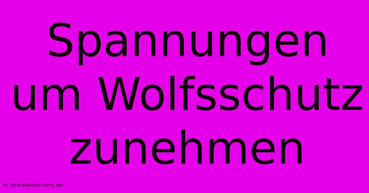 Spannungen Um Wolfsschutz Zunehmen