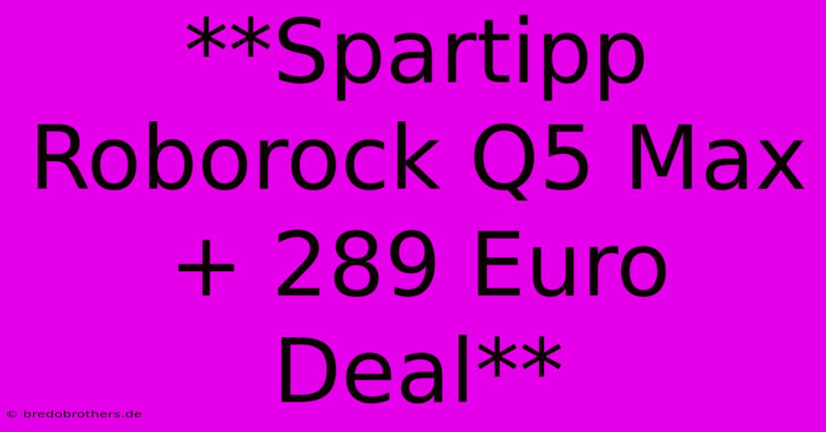 **Spartipp Roborock Q5 Max+ 289 Euro Deal**