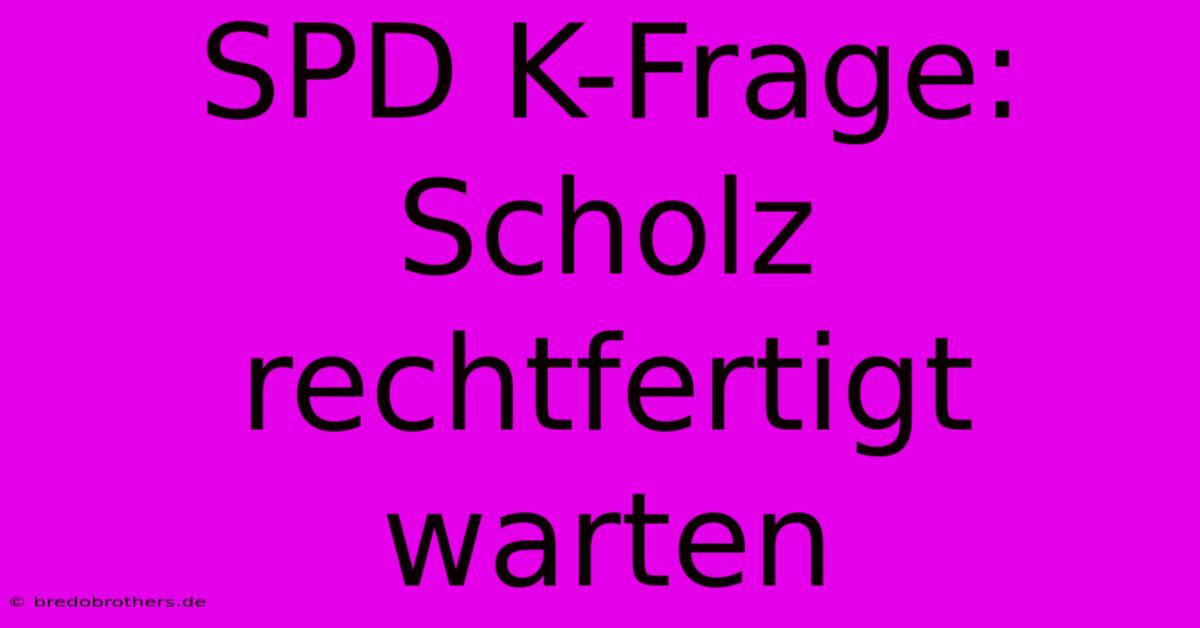 SPD K-Frage: Scholz Rechtfertigt  Warten