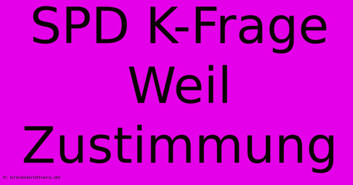 SPD K-Frage Weil Zustimmung