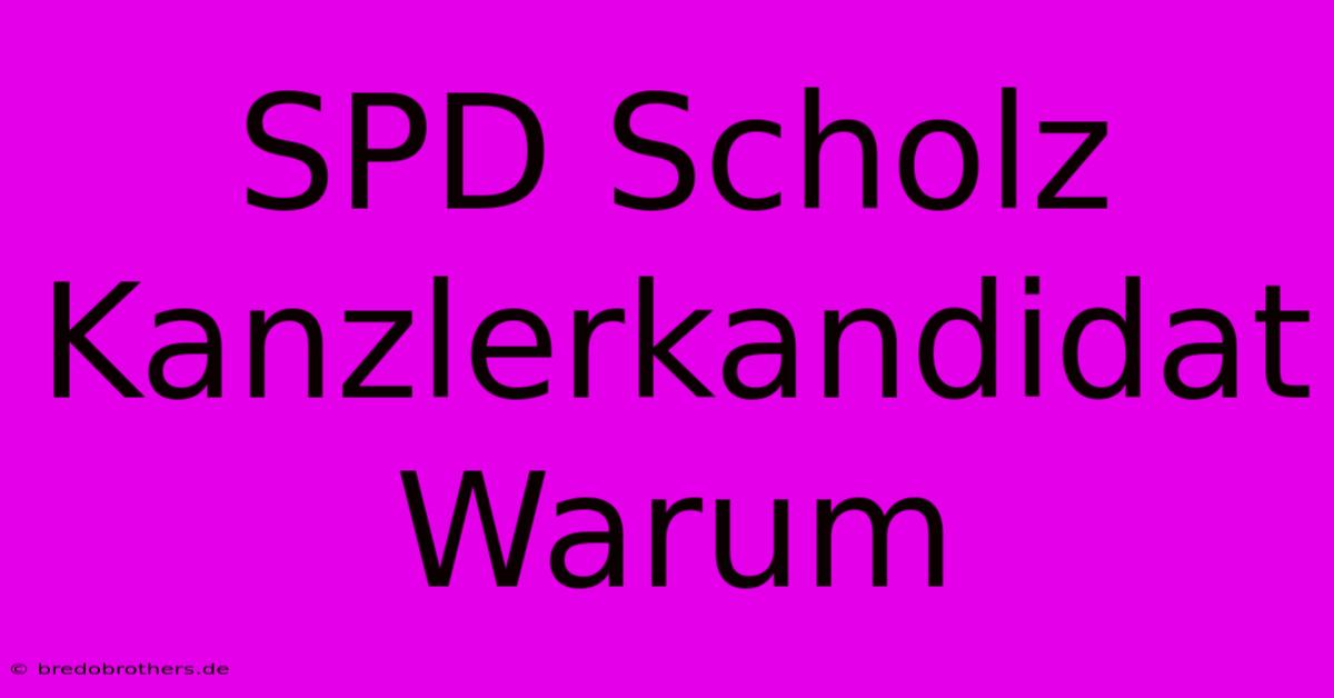 SPD Scholz Kanzlerkandidat Warum