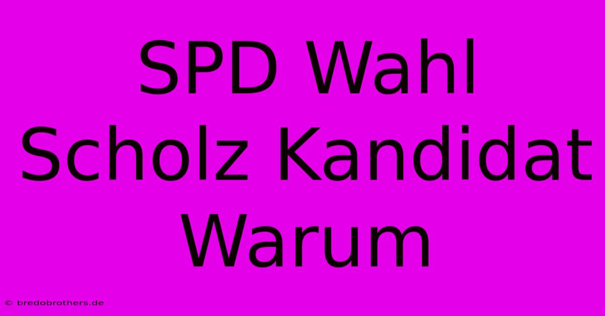 SPD Wahl Scholz Kandidat Warum