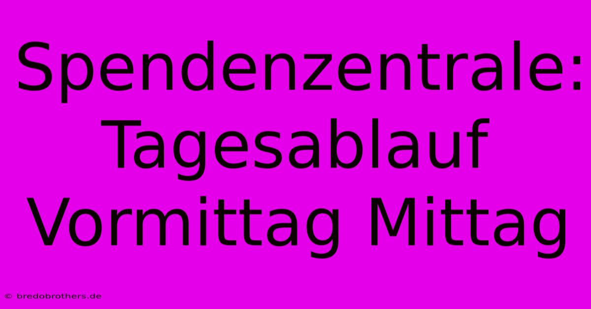 Spendenzentrale: Tagesablauf Vormittag Mittag