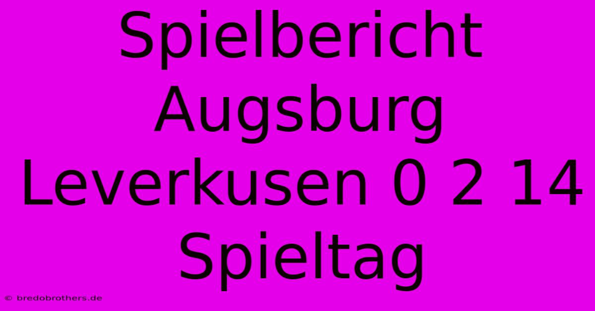 Spielbericht Augsburg Leverkusen 0 2 14 Spieltag