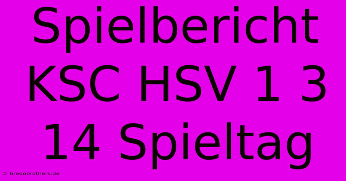 Spielbericht KSC HSV 1 3 14 Spieltag