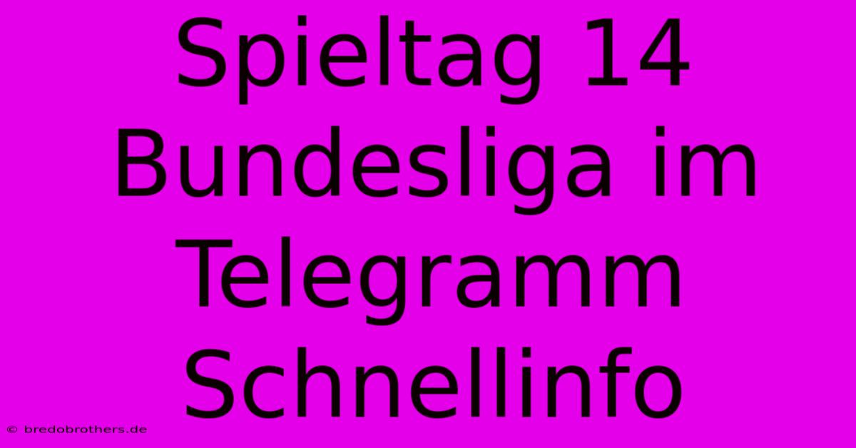 Spieltag 14 Bundesliga Im Telegramm Schnellinfo