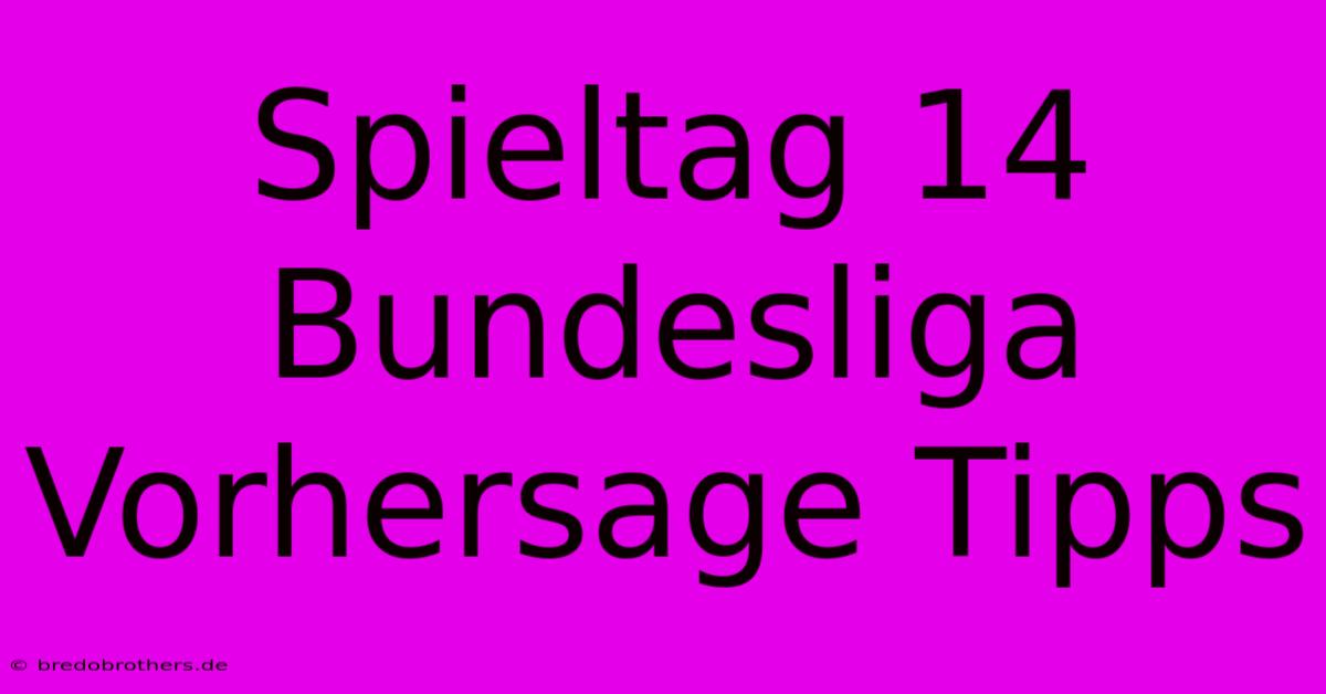 Spieltag 14 Bundesliga Vorhersage Tipps