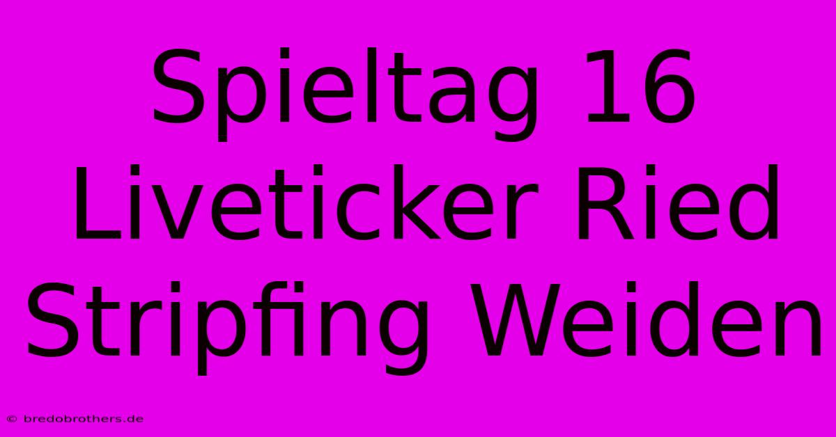 Spieltag 16 Liveticker Ried Stripfing Weiden