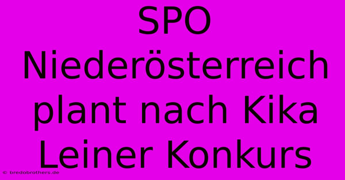 SPO Niederösterreich Plant Nach Kika Leiner Konkurs