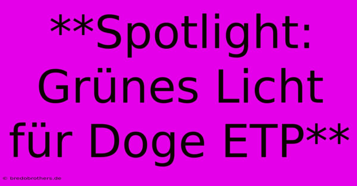 **Spotlight: Grünes Licht Für Doge ETP**