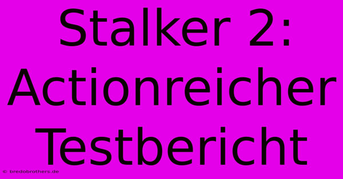 Stalker 2:  Actionreicher Testbericht