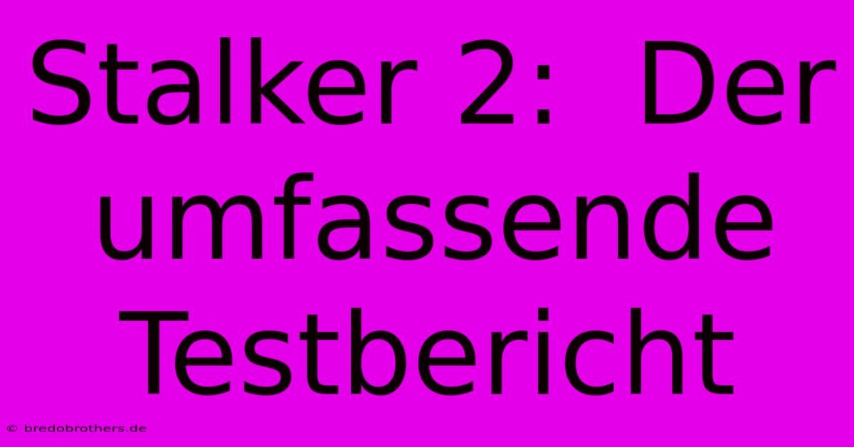 Stalker 2:  Der Umfassende Testbericht