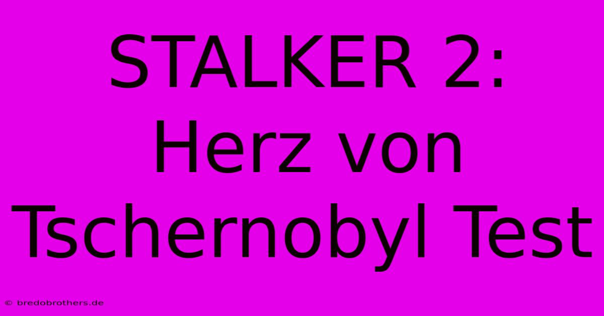 STALKER 2: Herz Von Tschernobyl Test