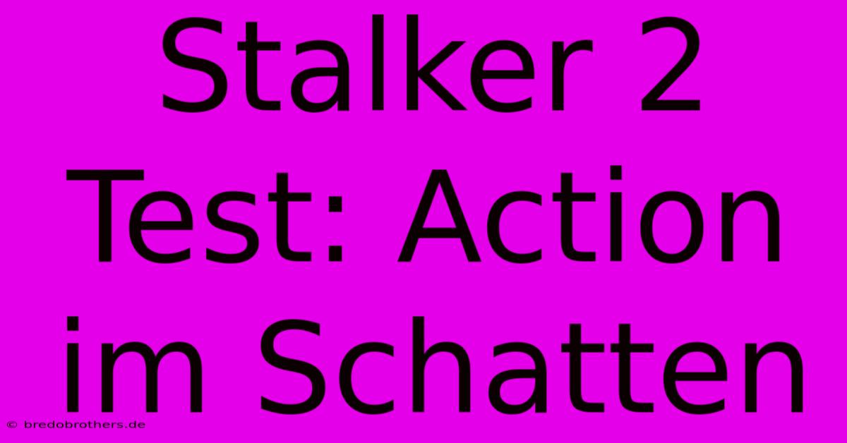 Stalker 2 Test: Action Im Schatten