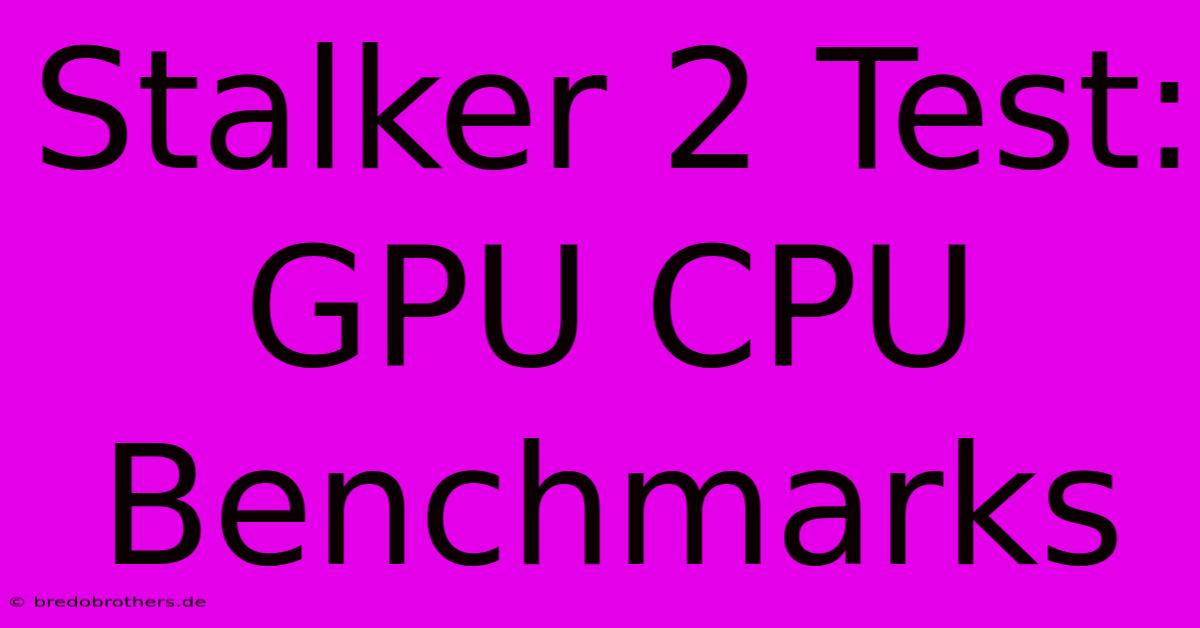 Stalker 2 Test: GPU CPU Benchmarks