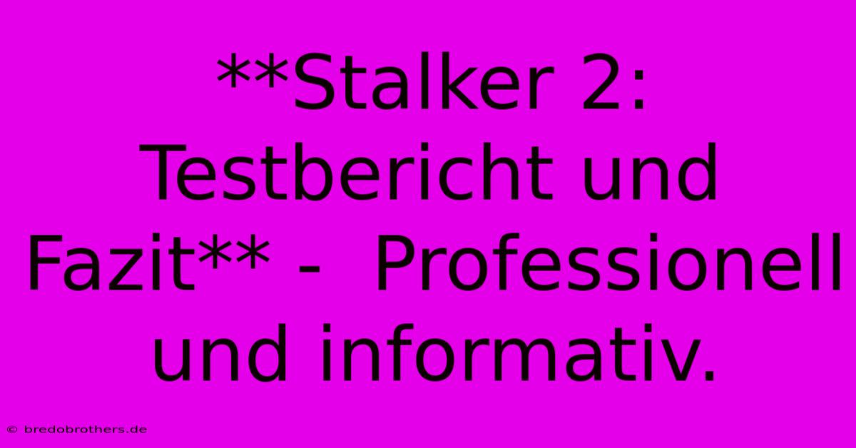 **Stalker 2:  Testbericht Und Fazit** -  Professionell Und Informativ.