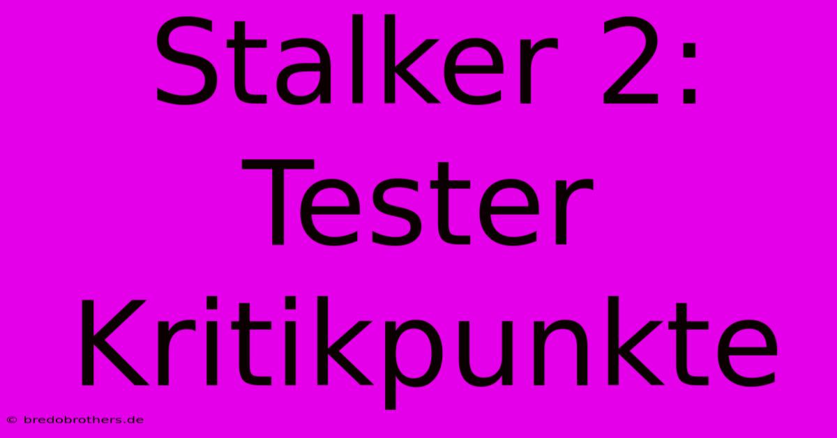 Stalker 2: Tester Kritikpunkte