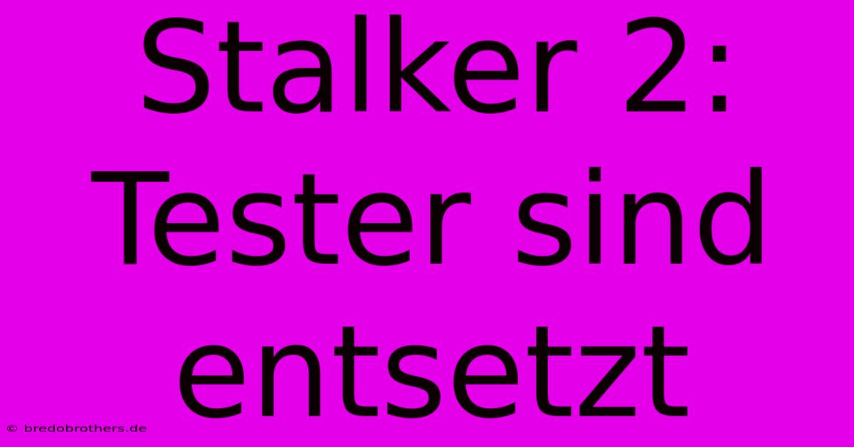 Stalker 2: Tester Sind Entsetzt