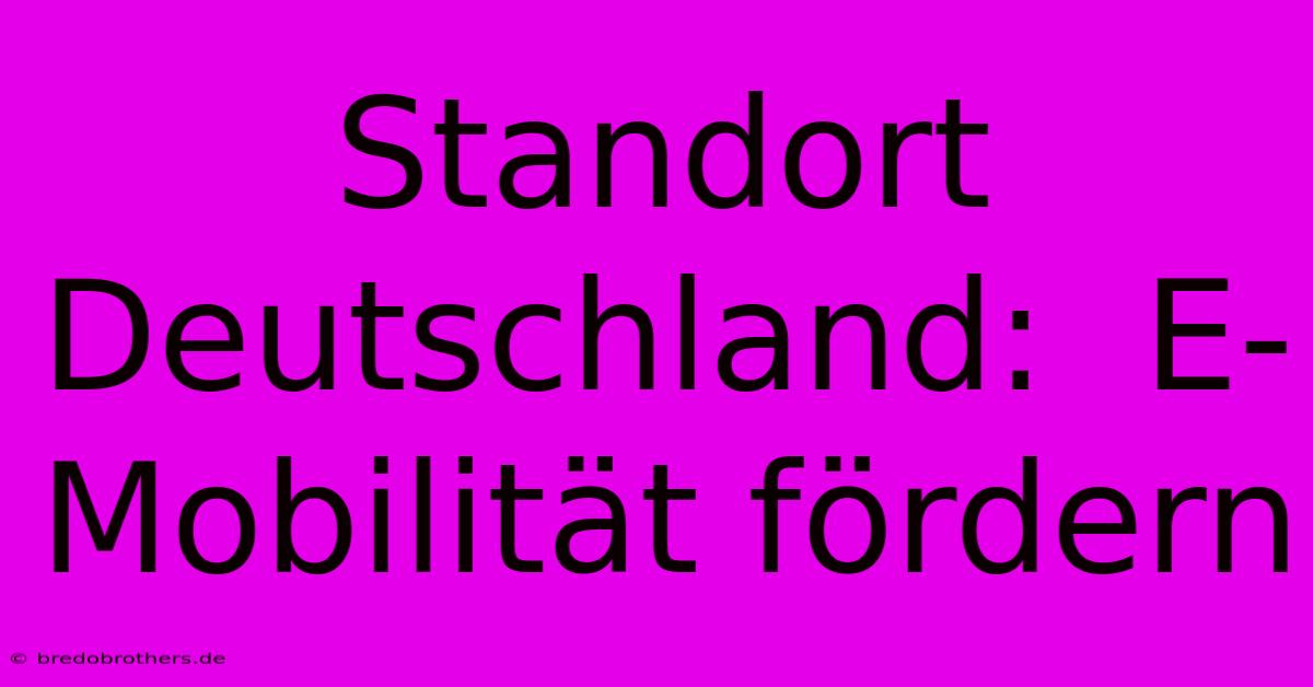 Standort Deutschland:  E-Mobilität Fördern