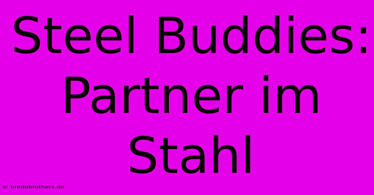 Steel Buddies: Partner Im Stahl