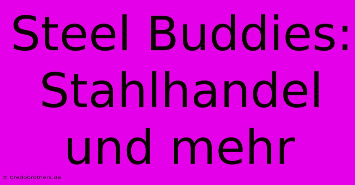 Steel Buddies:  Stahlhandel Und Mehr