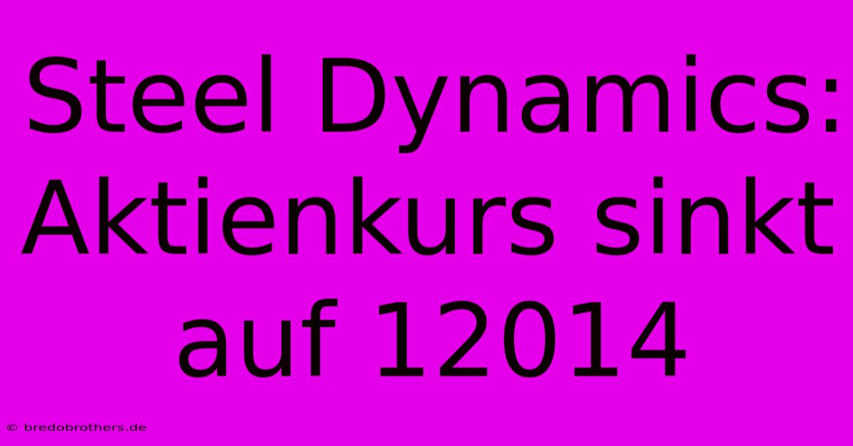 Steel Dynamics: Aktienkurs Sinkt Auf 12014