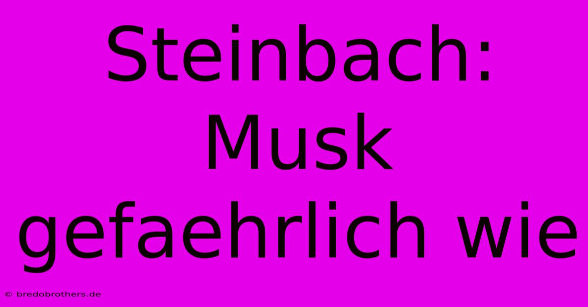 Steinbach: Musk Gefaehrlich Wie