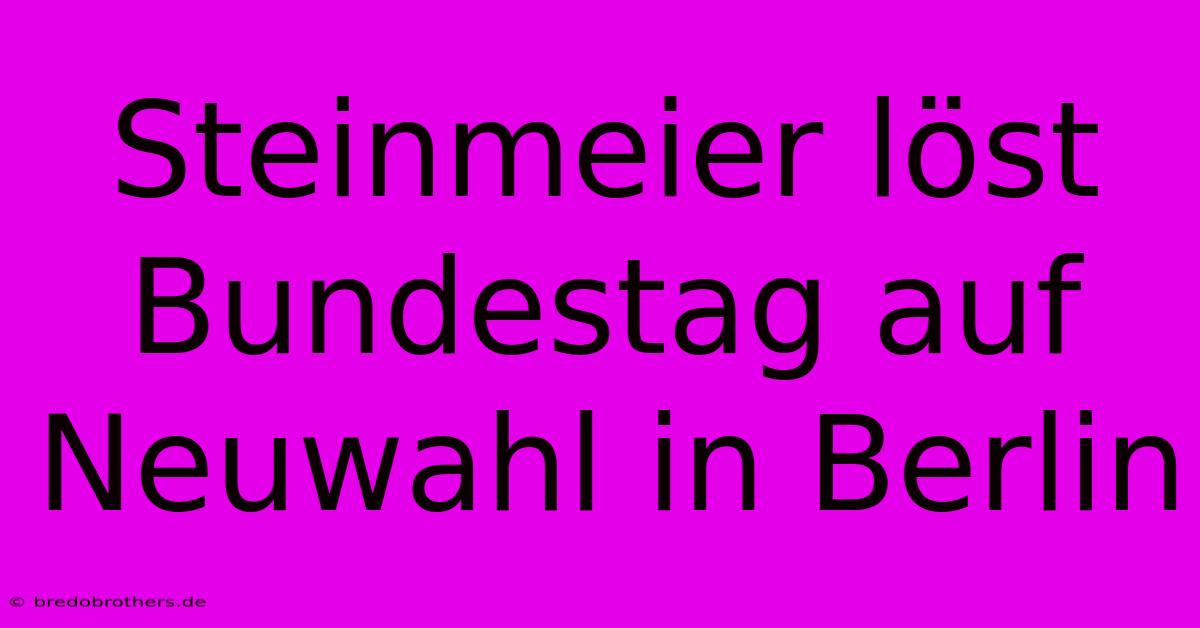 Steinmeier Löst Bundestag Auf Neuwahl In Berlin