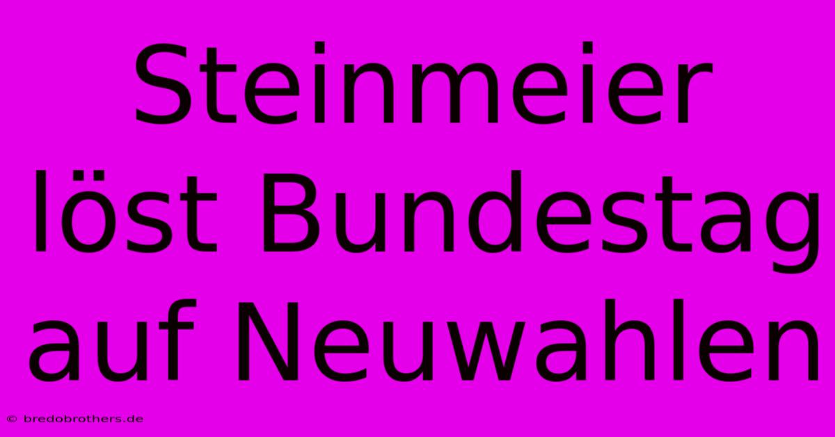 Steinmeier Löst Bundestag Auf Neuwahlen