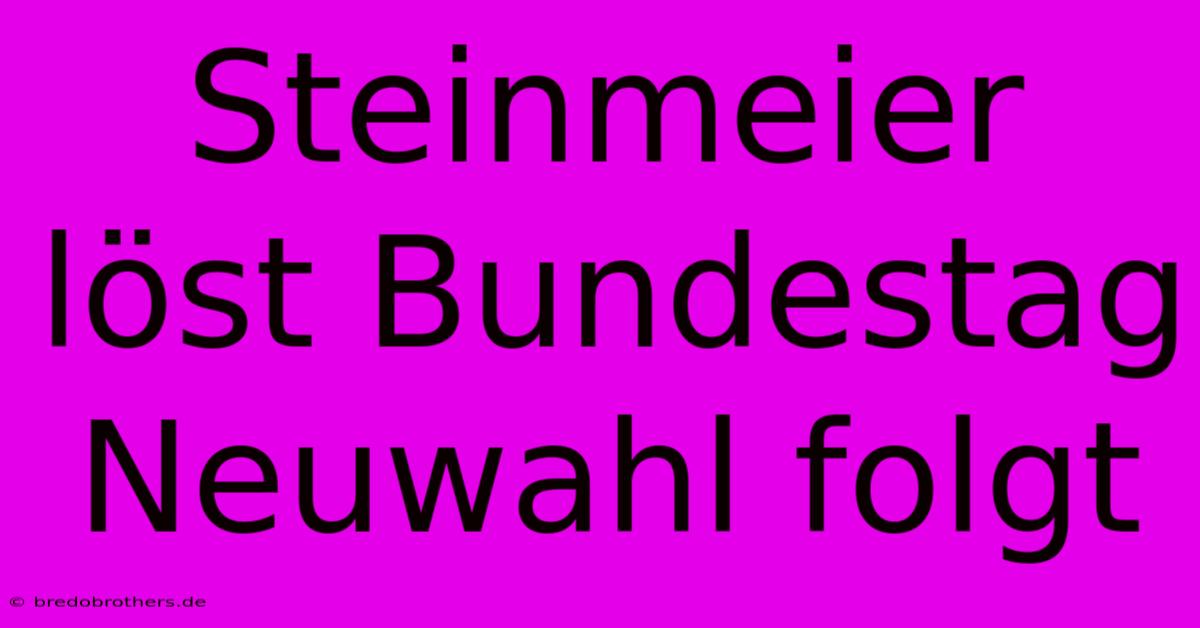 Steinmeier Löst Bundestag Neuwahl Folgt