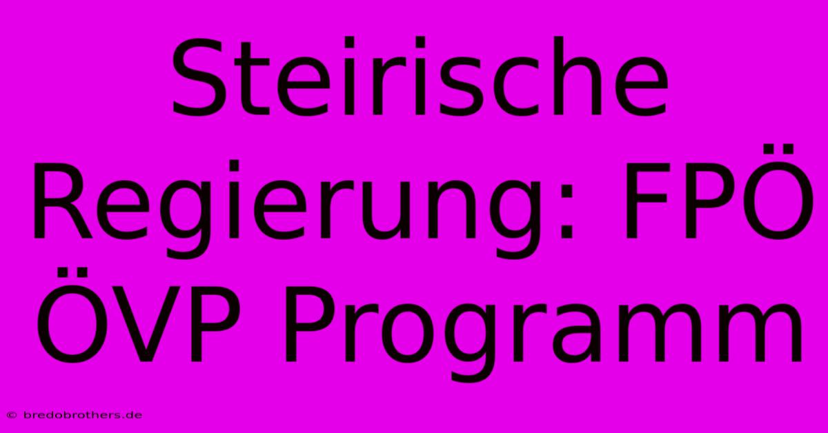 Steirische Regierung: FPÖ ÖVP Programm