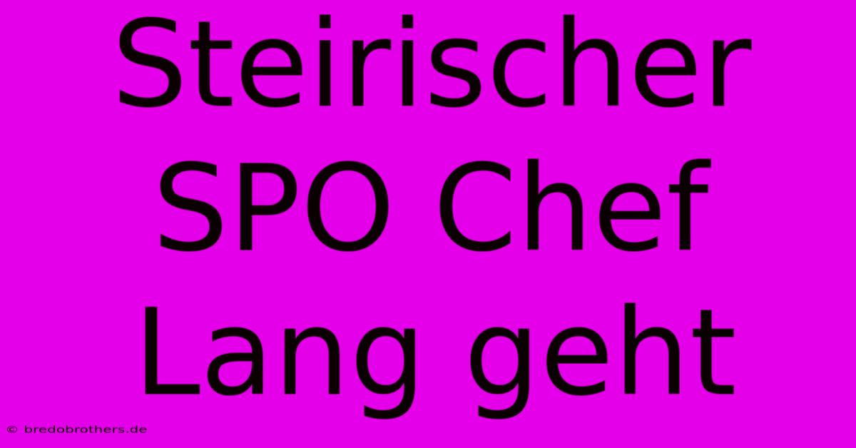 Steirischer SPO Chef Lang Geht