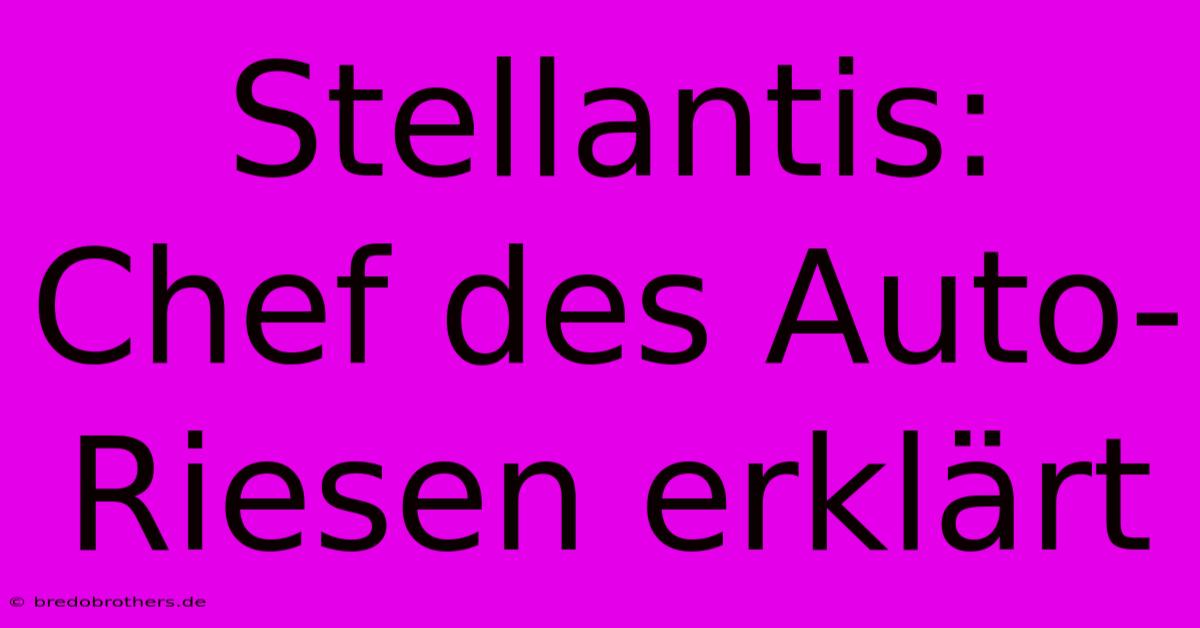 Stellantis:  Chef Des Auto-Riesen Erklärt