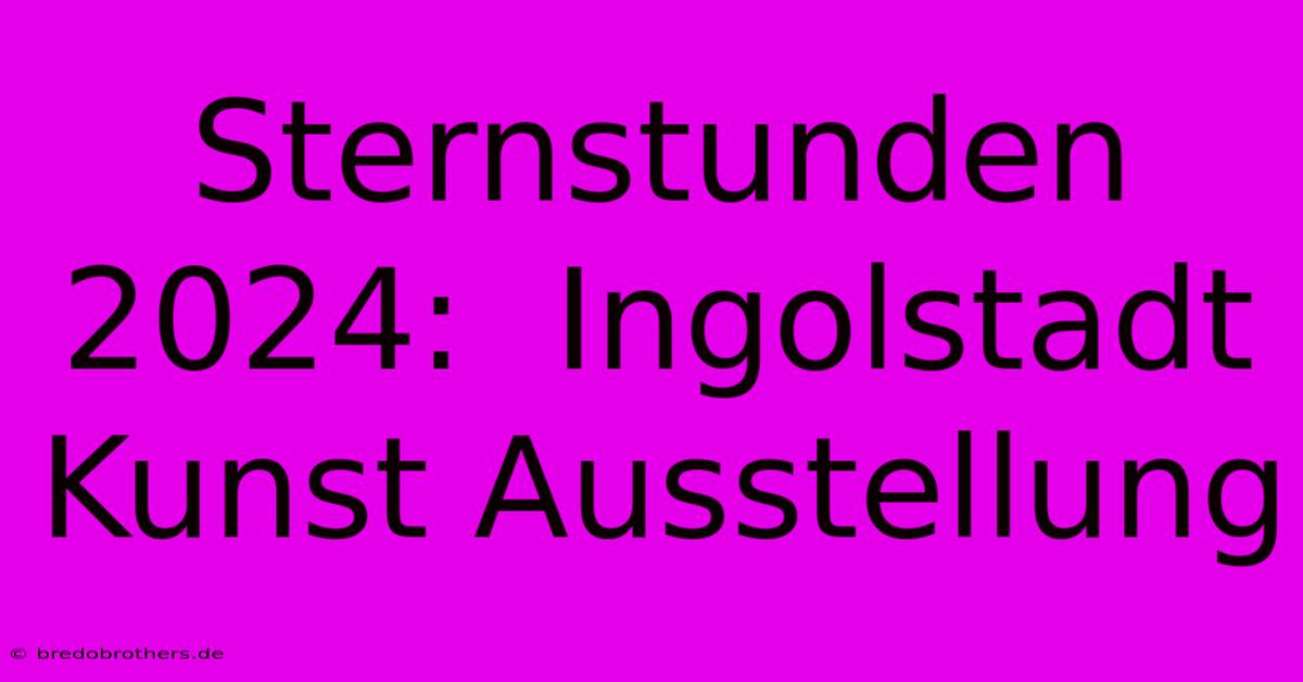 Sternstunden 2024:  Ingolstadt Kunst Ausstellung