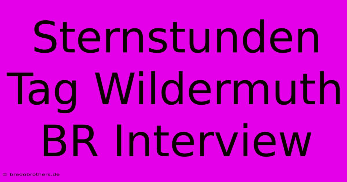 Sternstunden Tag Wildermuth BR Interview