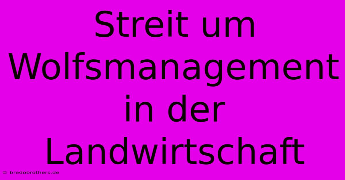 Streit Um Wolfsmanagement In Der Landwirtschaft