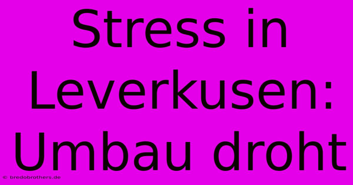 Stress In Leverkusen: Umbau Droht